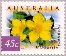 Colnect-658-844-Flora-and-Fauna--Hibbertia-scandens.jpg