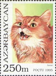 Colnect-1093-197-Somali-Felis-silvestris-catus.jpg