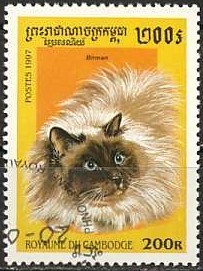 Colnect-1118-530-Birman-Felis-silvestris-catus.jpg