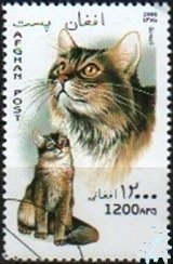 Colnect-2199-618-Somali-Felis-silvestris-catus.jpg