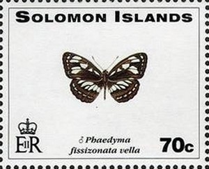 Butterfly-Phaedyma-fissizonata-vella.jpg