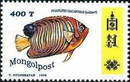 Colnect-1281-268-Regal-Angelfish-Pygoplites-diacanthus.jpg