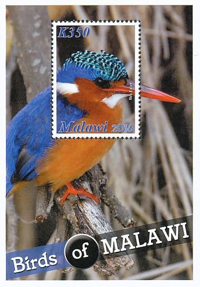 Colnect-3670-180-Malachite-Kingfisher%C2%A0Corythornis-cristatus.jpg