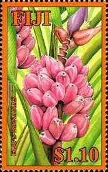 Colnect-934-710-Fiji--s-Bananas.jpg