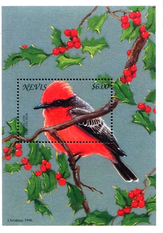 Colnect-3544-807-Vermilion-flycatcher-sitting-in-tree.jpg