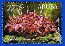 Colnect-4494-174-Flowers-Of-Aruba.jpg