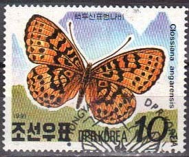 Colnect-1020-402-Pearl-bordered-Fritillary-Clossiana-angarensis.jpg