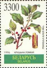 Colnect-191-352-Frangula-alnus.jpg