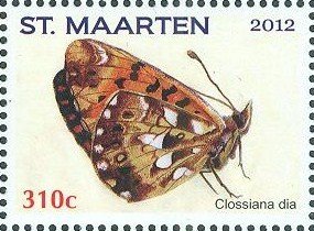 Colnect-2624-592-Weaver-s-Fritillary-Clossiana-dia.jpg