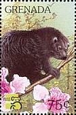 Colnect-4391-148-African-binturong.jpg