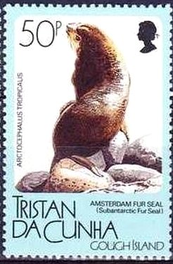 Colnect-2606-243-Amsterdam-Island-Fur-Seal-Arctocephalus-tropicalis.jpg