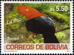 Colnect-1411-783-Andean-Cock-of-the-rock-Rupicola-peruviana.jpg