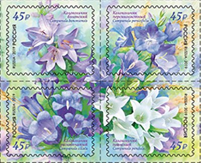 Colnect-5918-197-Flora-of-Russia--Bell-Flowers.jpg