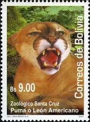 Colnect-1411-781-Cougar-Felis-concolor.jpg