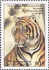 Colnect-1103-117-Siberian-Tiger-Panthera-tigris-altaica.jpg