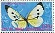 Colnect-1256-981-Cabbage-White-Pieris-rapae.jpg