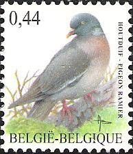 Colnect-567-766-Wood-Pigeon-Columba-palumbus.jpg