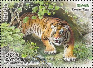 Colnect-7809-161-Siberian-tiger-Panthera-tigris-altaica.jpg