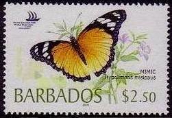 Colnect-1110-312-Danaid-Eggfly-Hypolimnas-misippus.jpg