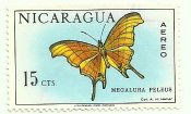 Colnect-4825-512-Ruddy-Daggerwing-Megalura-peleus.jpg