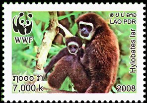 Colnect-1614-729-Lar-Gibbon-Hylobates-lar.jpg