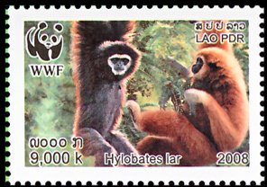 Colnect-1614-731-Lar-Gibbon-Hylobates-lar.jpg