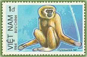 Colnect-1628-849-Lar-Gibbon-Hylobates-lar.jpg