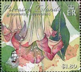 Colnect-5813-018-Brugmansia-suaveolens.jpg