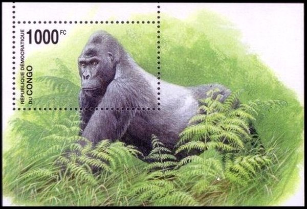 Colnect-2624-458-Eastern-Lowland-Gorilla-Gorilla-gorilla-graueri.jpg