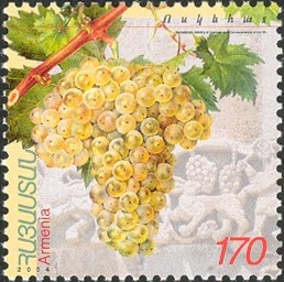 Colnect-2184-844-Grapes-Voskehat.jpg