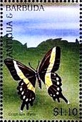 Colnect-4123-037-Graphium-illyris.jpg