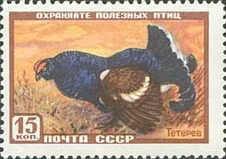 Colnect-471-495-Black-Grouse-Tetrao-tetrix-.jpg