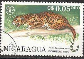 Colnect-1266-082-Jaguar-Panthera-onca.jpg