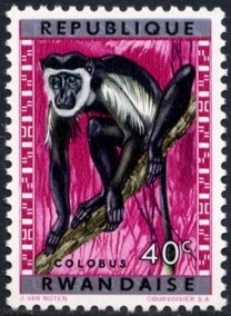 Colnect-1365-897-Mantled-Guereza-Colobus-guereza.jpg