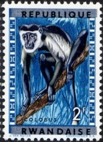 Colnect-1365-900-Mantled-Guereza-Colobus-guereza.jpg