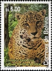 Colnect-1411-780-Jaguar-Panthera-onca.jpg