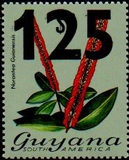 Colnect-4739-586-Norantea-guianensis-with-surcharge.jpg