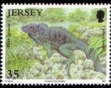 Colnect-706-726-Blue-Iguana-Cyclura-lewisi.jpg