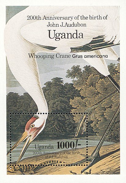 Colnect-1712-375-Whooping-Crane%C2%A0Grus-americana.jpg