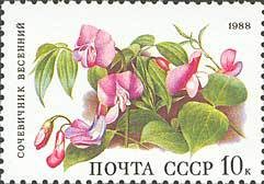 Colnect-581-801-Spring-pea-Orobus-vernus.jpg