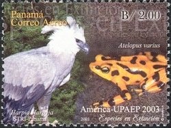 Colnect-1547-818-Endangered-Species---Harpy-Eagle-Harpia-harpyja-Clown-Fro.jpg