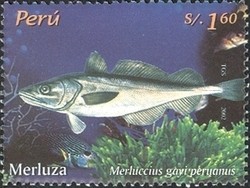 Colnect-1557-477-South-Pacific-Hake-Merluccius-gayi-peruanus.jpg