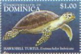 Colnect-3226-705-Hawksbill-turtle.jpg