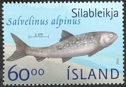 Colnect-439-627-Arctic-Char-Salvelinus-alpinus.jpg