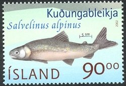 Colnect-439-628-Arctic-Char-Salvelinus-alpinus.jpg