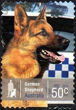 Colnect-1080-642-German-Shepherd-Canis-lupus-familiaris.jpg