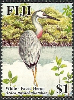 Colnect-1595-047-White-faced-Heron-Ardea-novaehollandiae.jpg