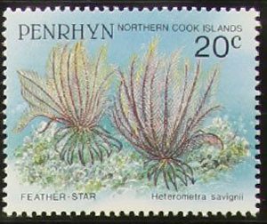 Colnect-1962-926-Savigny-s-Feather-Star-Heterometra-savignii.jpg