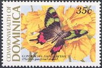 Colnect-2159-356-Cuban-Cattleheart-Parides-gundlachianus.jpg