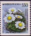 Colnect-2782-163-Chrysanthenum-zawadskii-coreanum.jpg